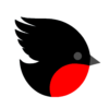 logomanifestazione15